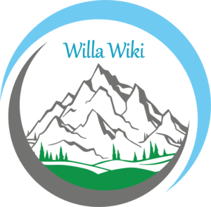 logo Willa Seniora w Buczkowicach - logo